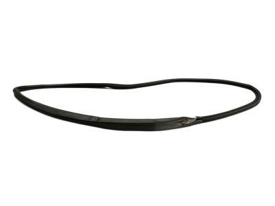Mopar 4763878AE WEATHERSTRIP-Door Glass