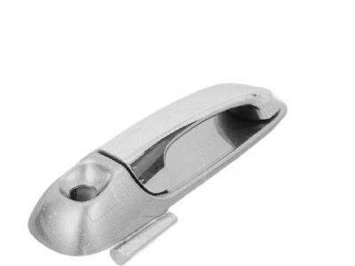 Mopar 1EH601DMAA Handle-Exterior Door