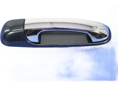 Mopar 1EH601DMAA Handle-Exterior Door