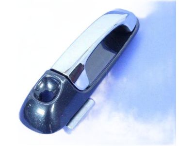 Mopar 1EH601DMAA Handle-Exterior Door