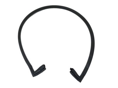 Mopar 68229638AA WEATHERSTRIP-Cargo Door