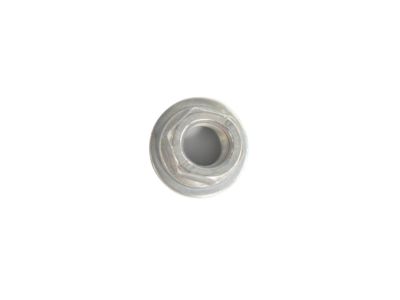 Mopar 68267956AA Nut-Control Arm STRUT
