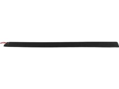 Mopar 5DY17DX9AE Molding-Front Door