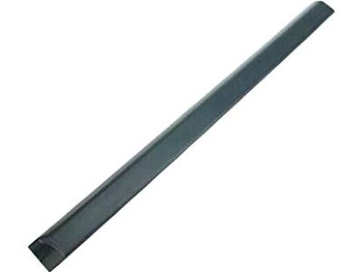 Mopar 5DY17DX9AE Molding-Front Door