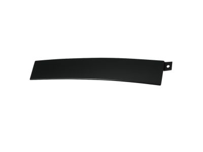 Mopar 4806308AB APPLIQUE-Rear Door