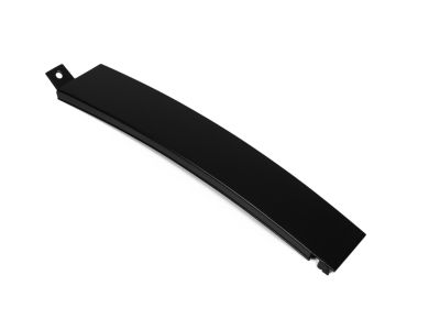 Mopar 4806308AB APPLIQUE-Rear Door