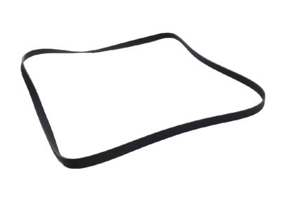 Mopar 68495977AA SERPENTINE