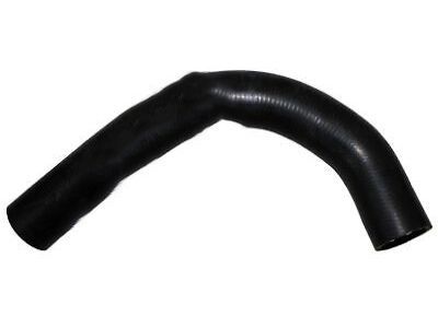 Mopar 68013638AA Hose-Radiator