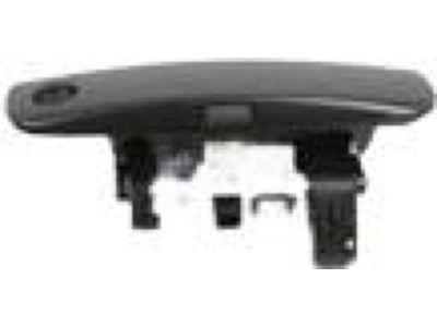 Mopar 1MZ85RXFAJ Handle-Front Door Exterior