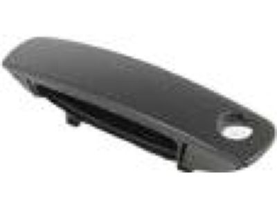 Mopar 1MZ85RXFAJ Handle-Front Door Exterior