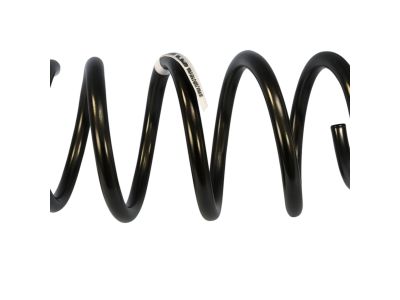 Mopar 5168691AB Front Coil Spring