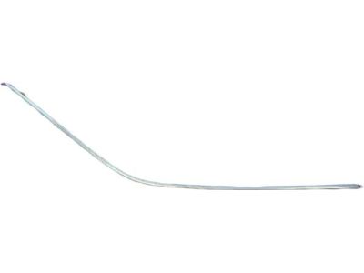 Mopar 4805810AB Molding-Front Door