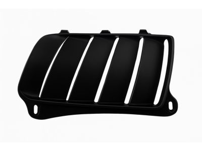 Mopar 68260186AA Bezel-Hood