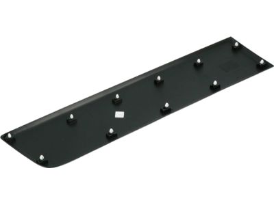 Mopar 1ZT33JXWAB Molding-Door Outside