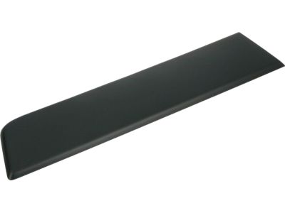 Mopar 1ZT33JXWAB Molding-Door Outside