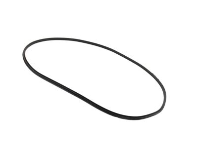 Mopar 68402032AA WEATHERSTRIP-Front Door Body Mounted
