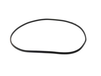 Mopar 68402032AA WEATHERSTRIP-Front Door Body Mounted