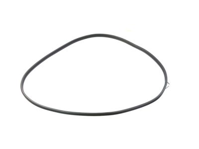 Mopar 68402032AA WEATHERSTRIP-Front Door Body Mounted