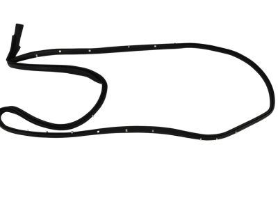 Mopar 68045995AA WEATHERSTRIP-Front Door Mounted