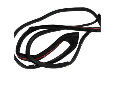 Mopar 68045995AA WEATHERSTRIP-Front Door Mounted