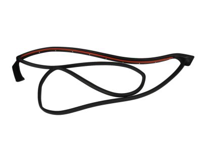 Mopar 68045995AA WEATHERSTRIP-Front Door Mounted