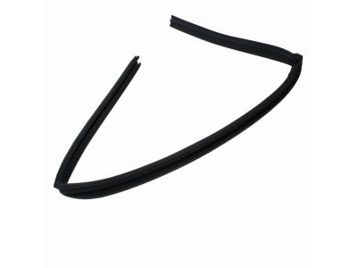 Mopar 4814638AC WEATHERSTRIP-Rear Door Flush Glass