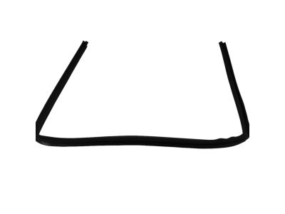 Mopar 4814638AC WEATHERSTRIP-Rear Door Flush Glass