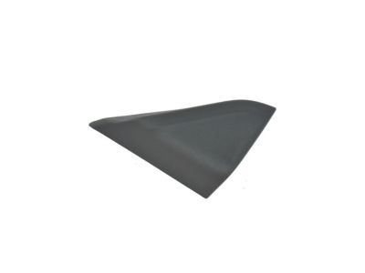 Mopar 5US40DX9AB Panel-Mirror Flag