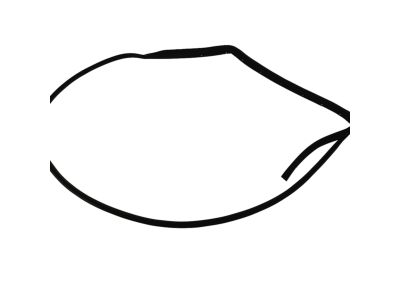 Mopar 5076868AC WEATHERSTRIP-Rear Door Mounted