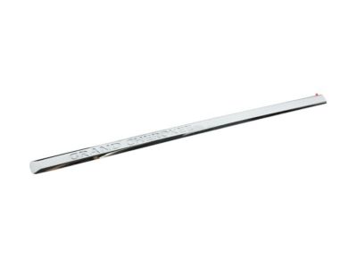 Mopar 55156849AE APPLIQUE-Front Door
