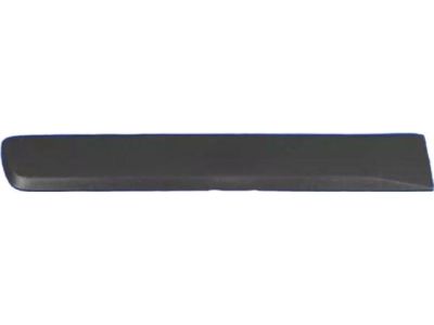 Mopar 5JR88CJMAA APPLIQUE-Rear Door