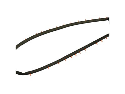 Mopar 68096402AC WEATHERSTRIP-Front Door
