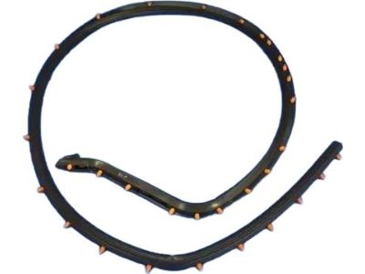 Mopar 68096402AC WEATHERSTRIP-Front Door