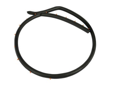 Mopar 68096402AC WEATHERSTRIP-Front Door