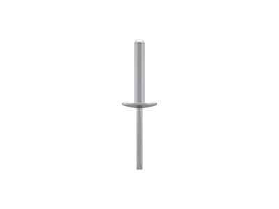 Mopar 68256067AA Rivet