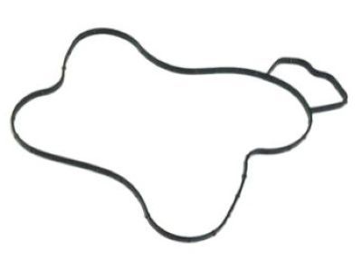 Mopar 68165890AA Gasket-Water Pump