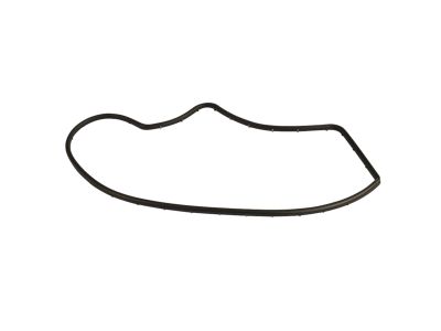 Mopar 68144966AD WEATHERSTRIP-Rear Door Opening