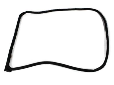 Mopar 5074280AD WEATHERSTRIP-Rear Door Mounted