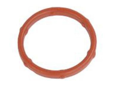 Mopar 68258961AA O Ring