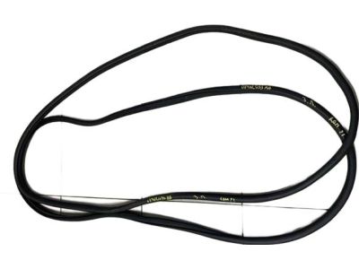 Mopar 68402033AA WEATHERSTRIP-Rear Door Body Mounted