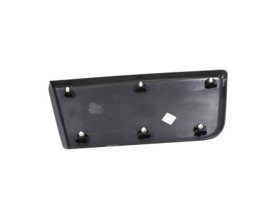 Mopar 1ZT55LAHAA Molding-Door Outside