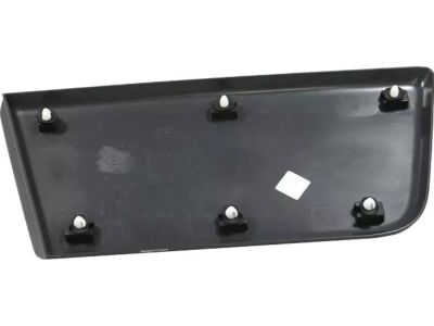 Mopar 1ZT55LAHAA Molding-Door Outside