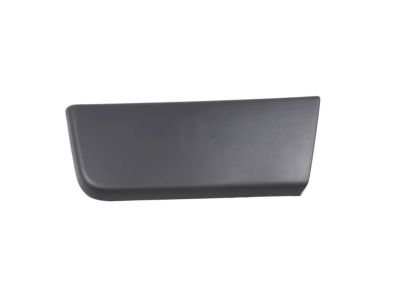 Mopar 1ZT55LAHAA Molding-Door Outside