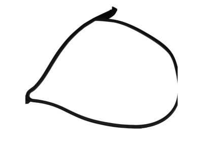 Mopar 68045969AA WEATHERSTRIP-Front Door Mounted