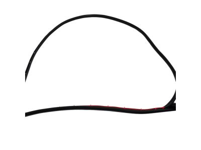 Mopar 68045969AA WEATHERSTRIP-Front Door Mounted