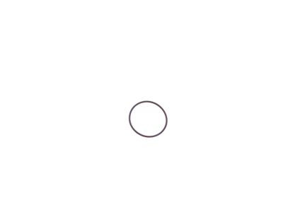 Mopar 68454500AA O Ring