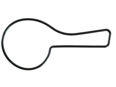 Mopar 4387459 Gasket-W/PUMP Body