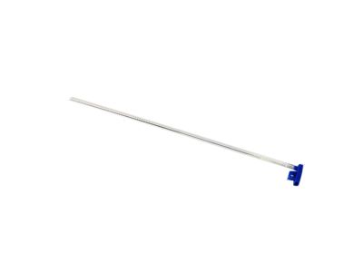 Mopar 68291948AC Lamp-Courtesy