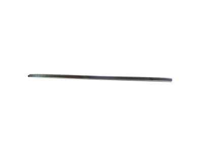Mopar 68285779AE W/STRIP-Front Door Belt Outer
