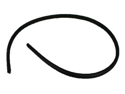 Mopar 4894635AC WEATHERSTRIP-Rear Aperture Panel Glass
